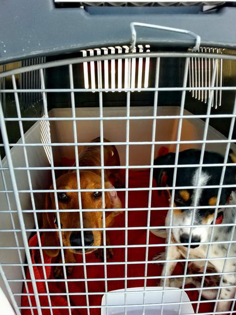 20151127 130329 resized