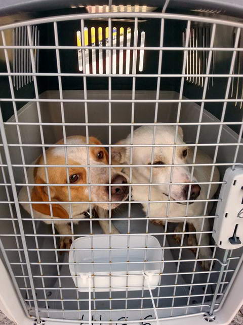 20151127 130341 resized