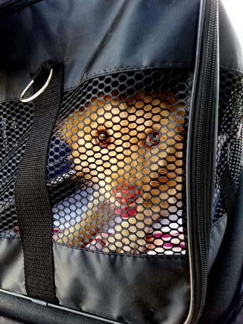 20151127 130407 resized