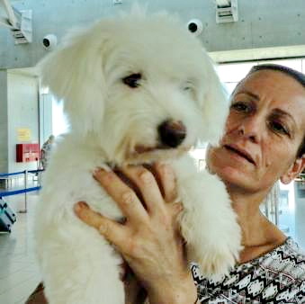 12077361 1505626936419682 795965062 n