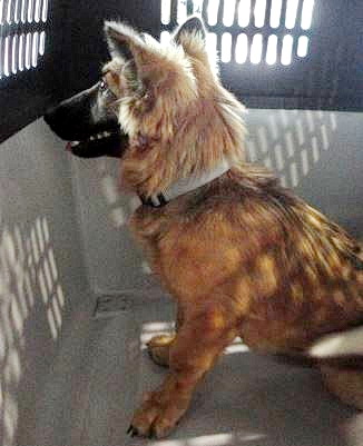 12080952 1505627343086308 256119832 n