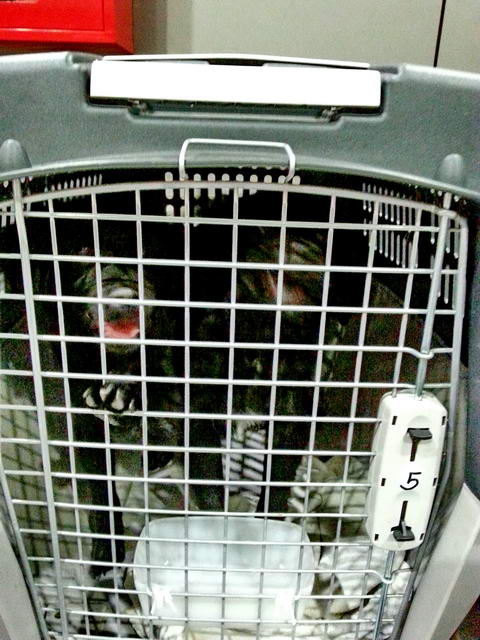 20151229 020905 resized