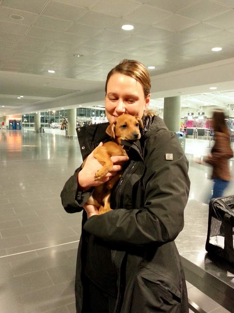 20151229 024108 resized