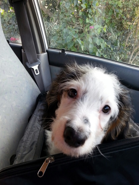 1 20151202 133521 resized