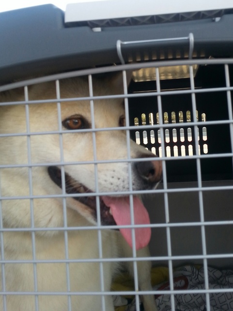 1 20151202 150610 resized 001