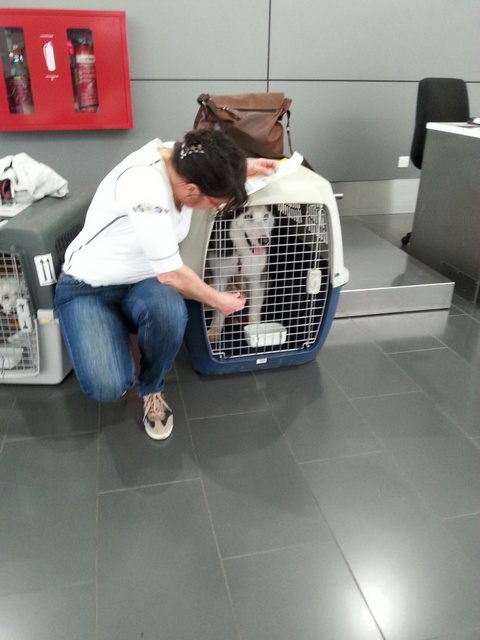 1 20151209 153435 resized