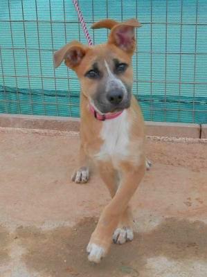 1 20160413 143746 resized