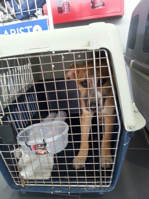 1 20160413 135842 resized