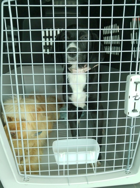 1 20160416 135903 resized