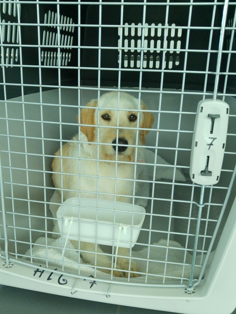 1 20160416 135909 resized