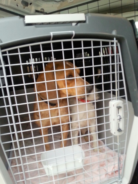 1 20160104 074027 resized 1