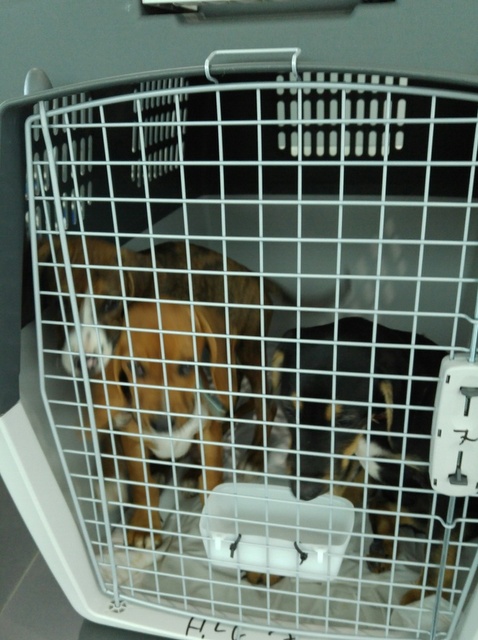 1 sam dinero danuwa. 