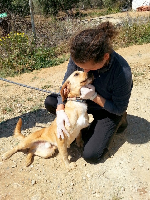 1 20160330 131958 resized