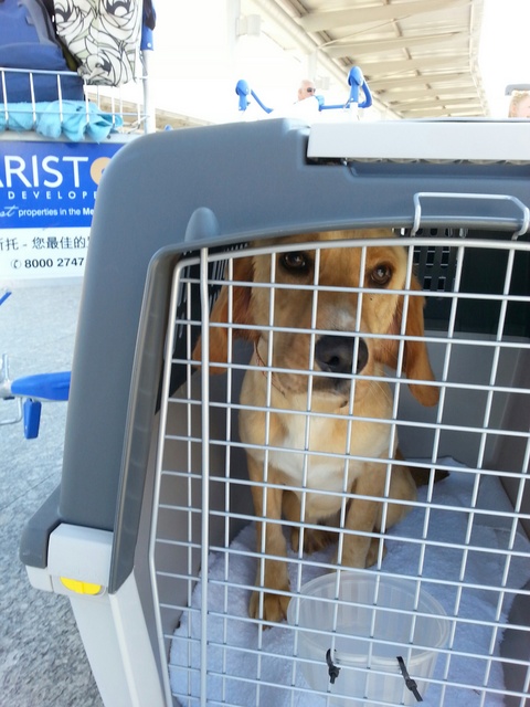 1 20160330 140435 resized