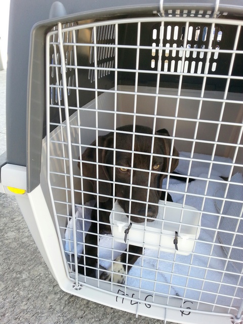 1 20160330 140549 resized