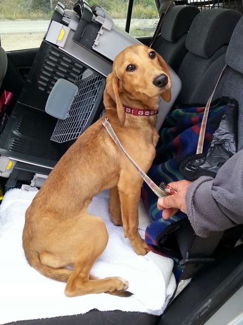 1 20160323 080904 resized