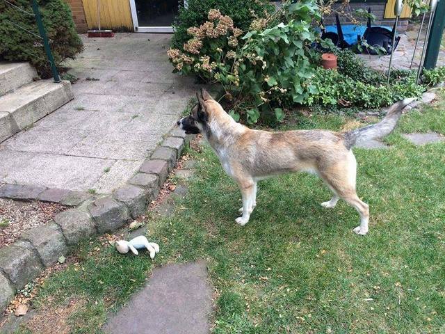 1 14593295 1732718963657926 1486973672 n