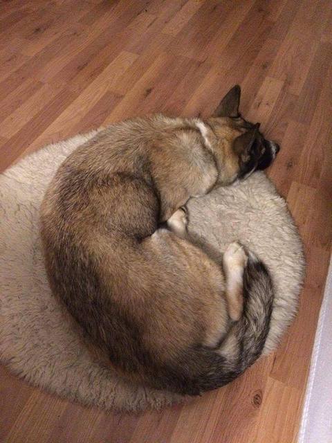 1 14593460 1732718960324593 656259102 n