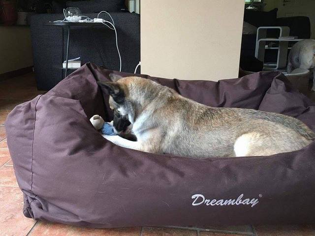 1 14593701 1732718970324592 123998647 n