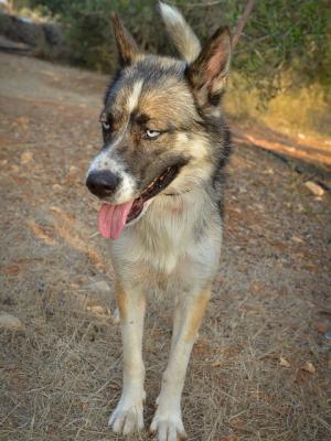 thumb 1 Bella 22 von 4