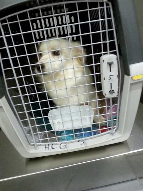 1 20160607 034405 resized