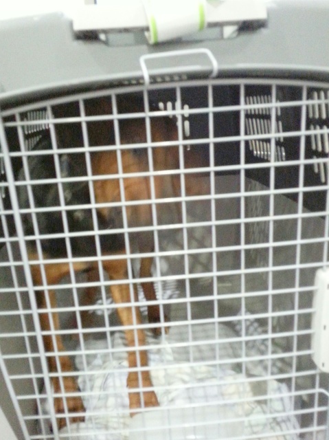 1 20160607 034413 resized