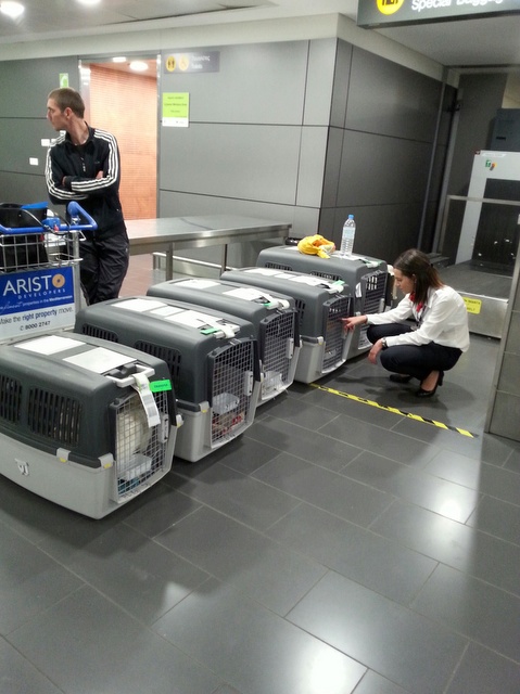 1 20160607 035729 resized