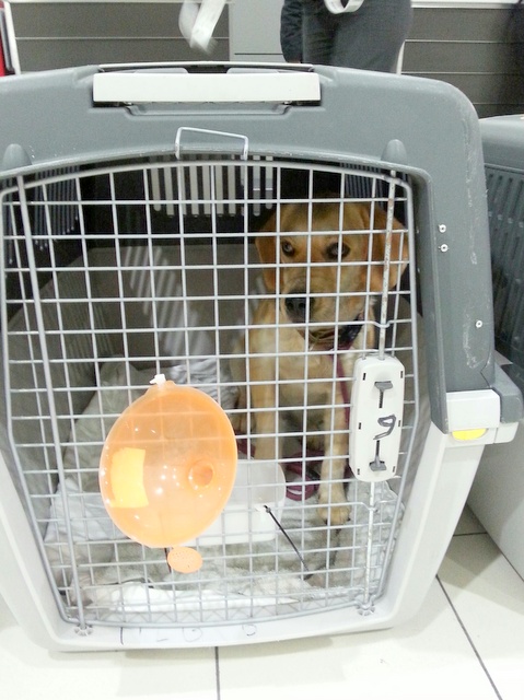 1 20160210 035019 resized