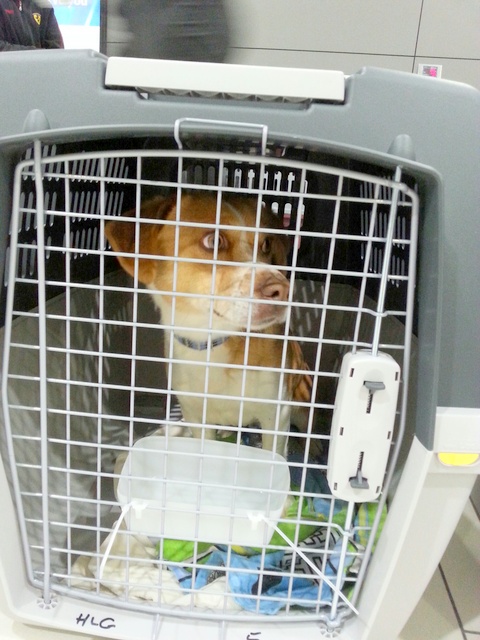 1 20160210 035028 resized