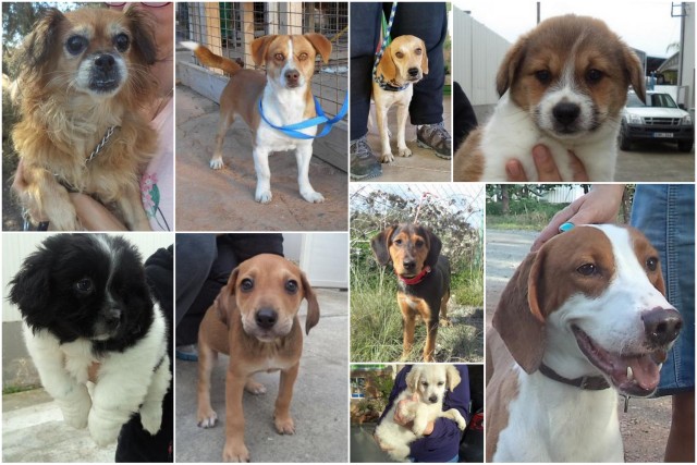 1 collage düsseldorf