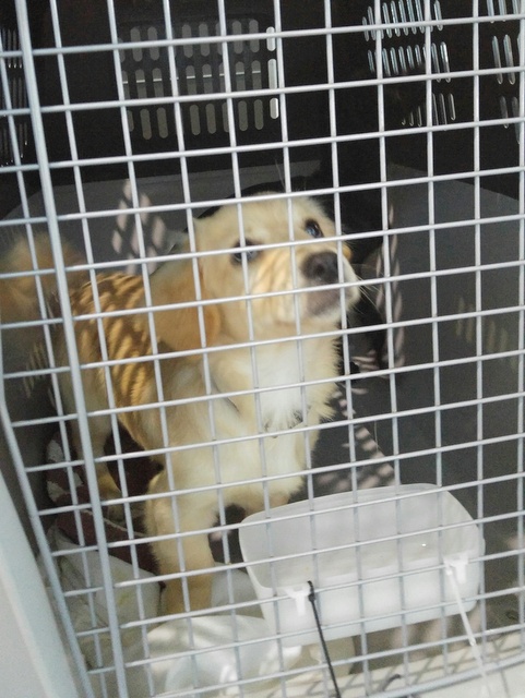 1 charles and denzid