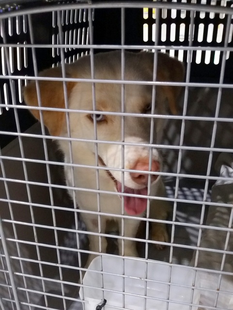 1 20160716 031850 resized