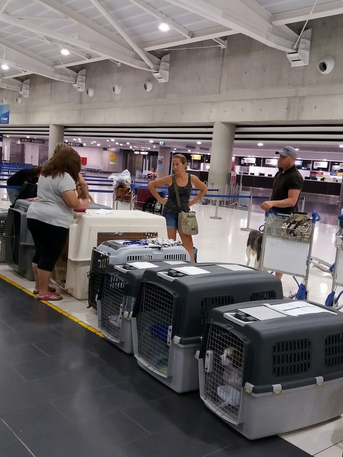 1 20160716 034053 resized