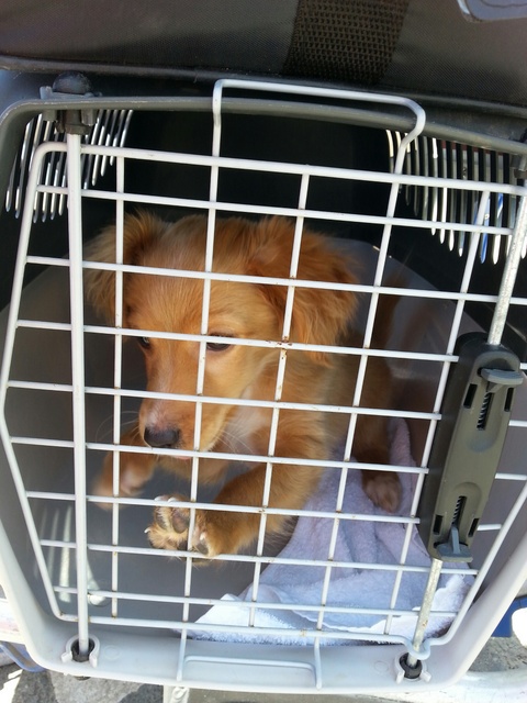 1 20160520 134632 resized