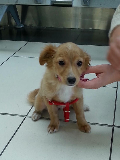 1 20160520 135222 resized