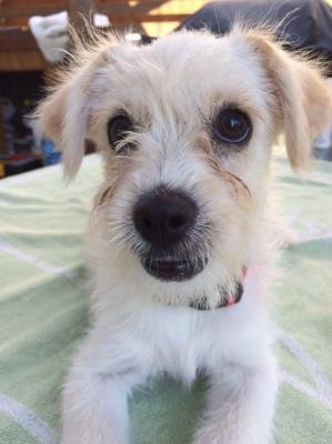 thumb 1 cid 74D274A3 6A1D 4070 AA4A B77678C2864C