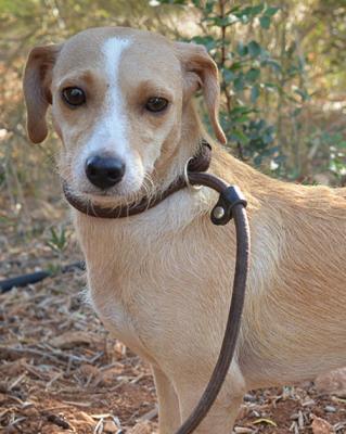 thumb Honey2 2 von 3 001