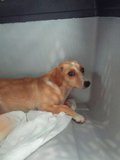 1 IMG 20160924 WA0000