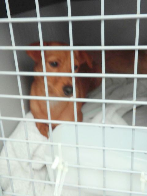 1 IMG 20160924 WA0001