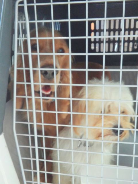 1 IMG 20160924 WA0002