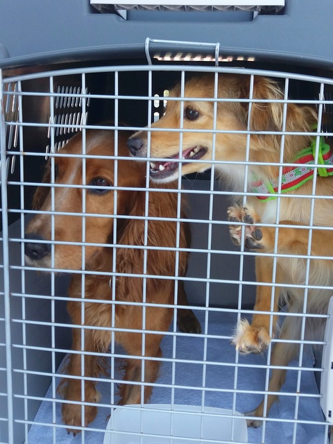 1 20160724 134733 resized