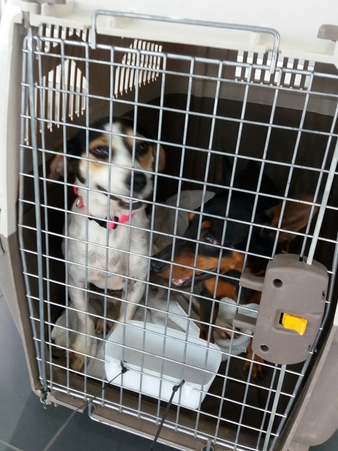 1 20160802 132947 resized