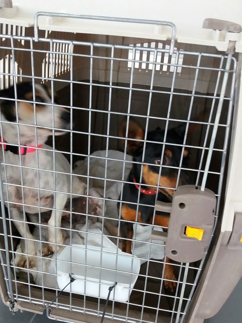 1 20160802 132954 resized