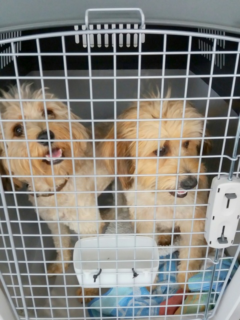 1 20160805 140020 resized