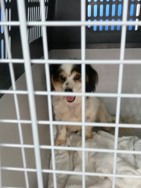 1 20160805 140049 resized