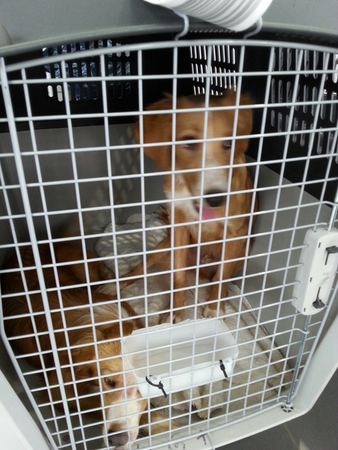 1 20160703 143628 resized