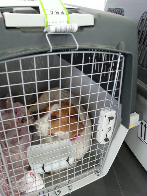 1 20160703 143636 resized