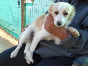 20160405 150122 resized