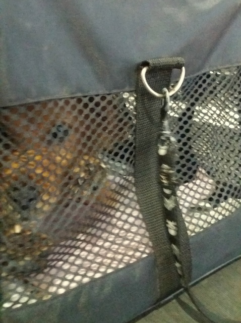 1 20161106 121809 resized