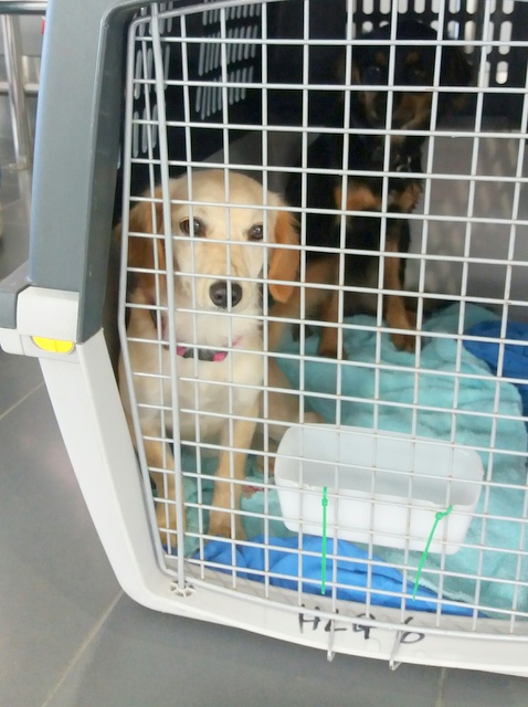 1 20161106 123536 resized